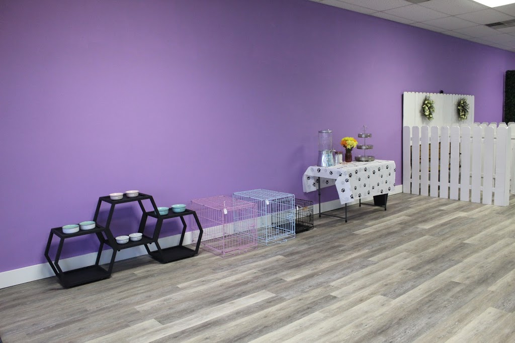 The Pup Palace | 2906 US-22, Maineville, OH 45039, USA | Phone: (513) 239-7434