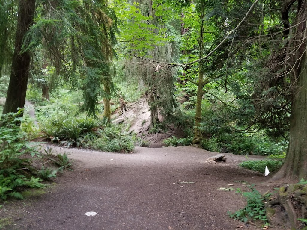 Schmitz Preserve Park | 5551 SW Admiral Way, Seattle, WA 98116, USA | Phone: (206) 684-4075