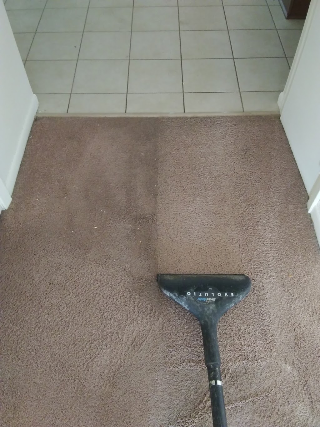My Trusted Carpet Cleaners | 2911 162nd Ave NE, Ham Lake, MN 55304, USA | Phone: (612) 961-0906