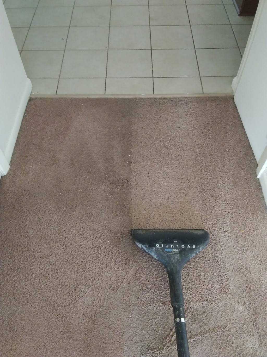 My Trusted Carpet Cleaners | 2911 162nd Ave NE, Ham Lake, MN 55304 | Phone: (612) 961-0906