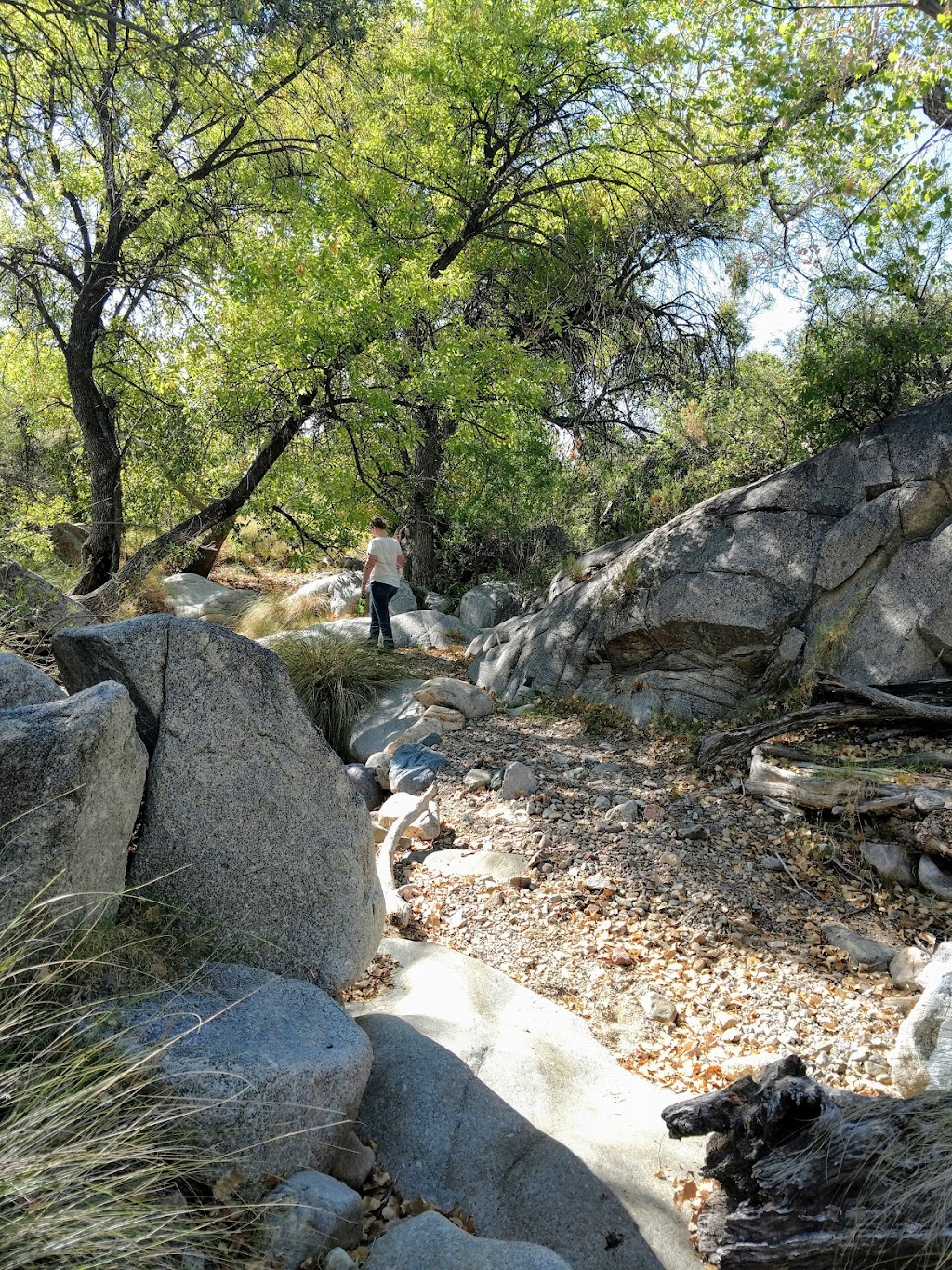 Proctor Parking and Trailhead | S Madera Canyon Rd, Amado, AZ 85645, USA | Phone: (623) 209-4920