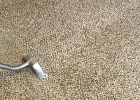 Eagle Crest Carpet Cleaning | 2130 N Hallston St, Las Vegas, NV 89134, USA | Phone: (702) 819-8671
