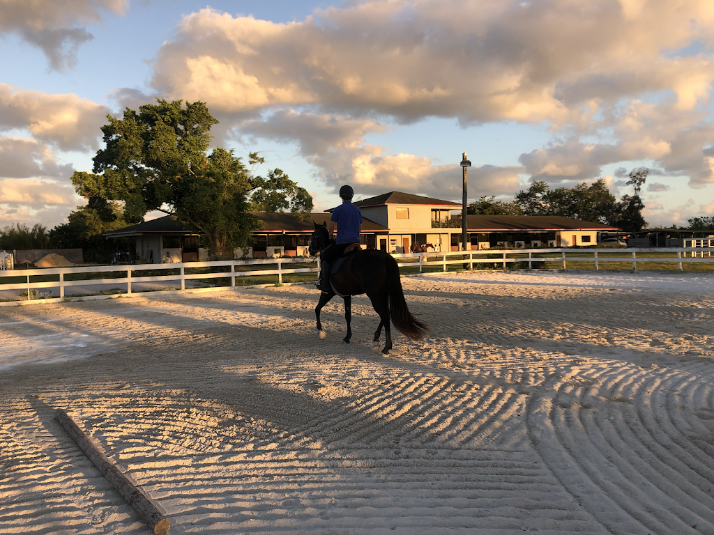 Sport Horse Stables, Corp. | 19525 SW 142nd Ave, Miami, FL 33177, USA | Phone: (305) 360-4104