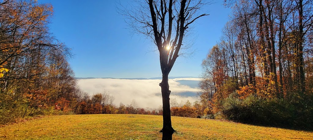 Tharp Knob Picnic Area #3 | Unnamed Road, Dunbar, PA 15431, USA | Phone: (724) 329-8591