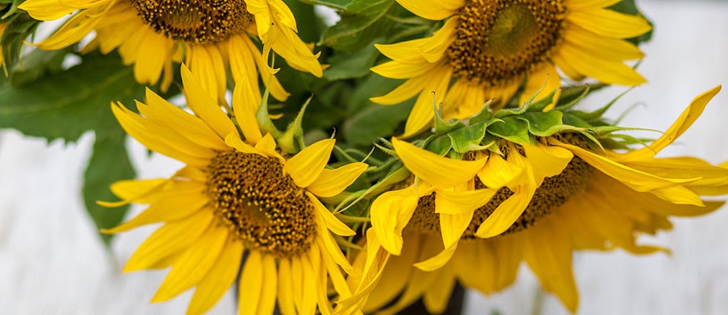 Schnucks Eureka Pointe Floral | 245 E 5th St, Eureka, MO 63025, USA | Phone: (636) 938-5041