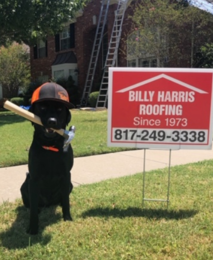 Billy Harris Roofing | 1912 Univ Business Dr, McKinney, TX 75071, USA | Phone: (972) 369-7287