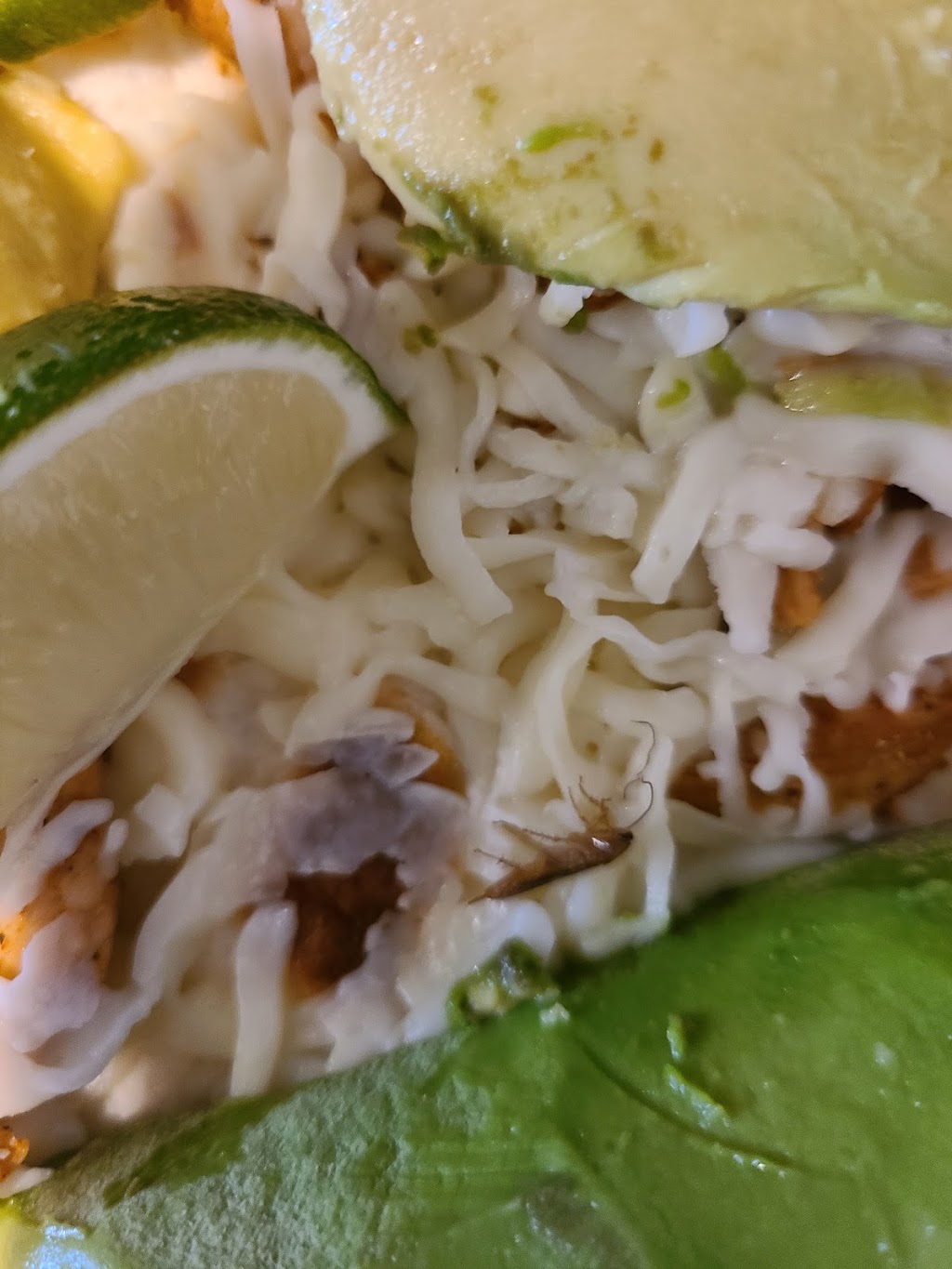 Taqueria el Taquito | 1047 Grand Ave, Bacliff, TX 77518, USA | Phone: (281) 508-0857