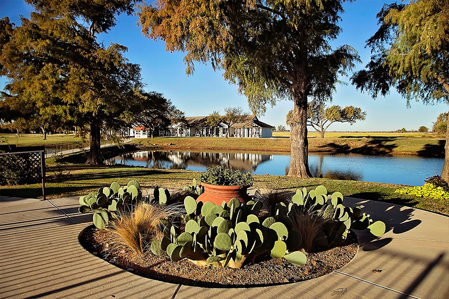 Healing Springs Ranch | 100 S. Texas St, Tioga, TX 76271, USA | Phone: (866) 656-8384