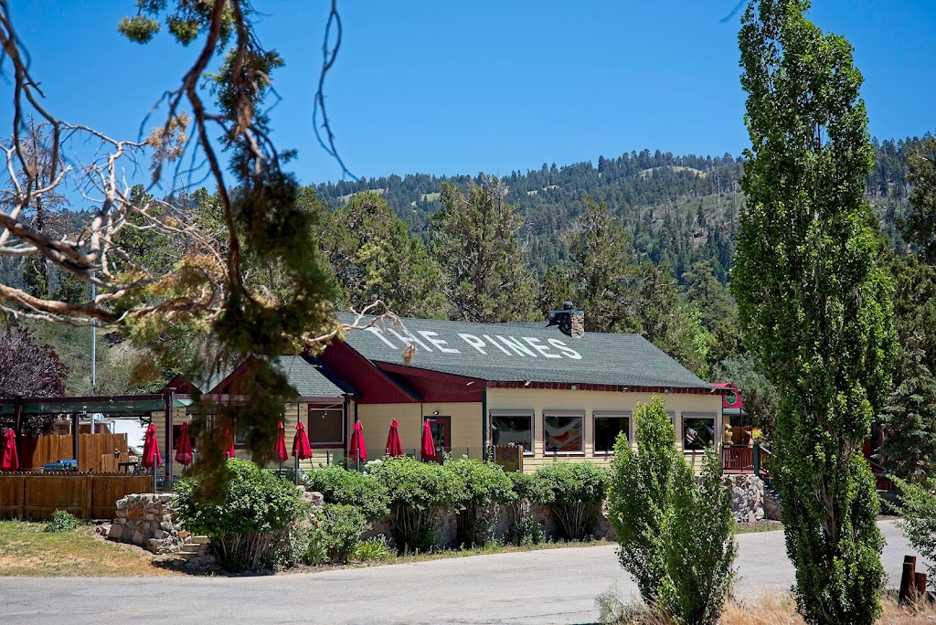 The Pines Lakefront | 350 Alden Rd, Big Bear Lake, CA 92315 | Phone: (909) 866-5400