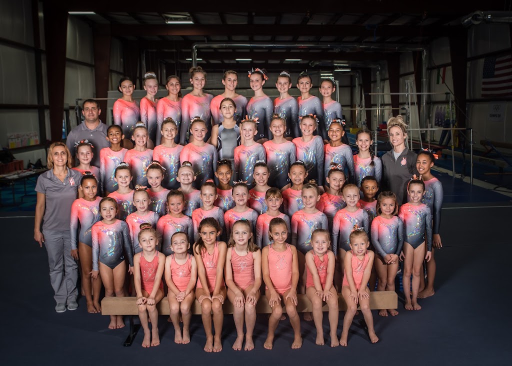 Dreams Gymnastics Center | 200 Industrial Blvd building 2, Toano, VA 23168, USA | Phone: (757) 566-2600