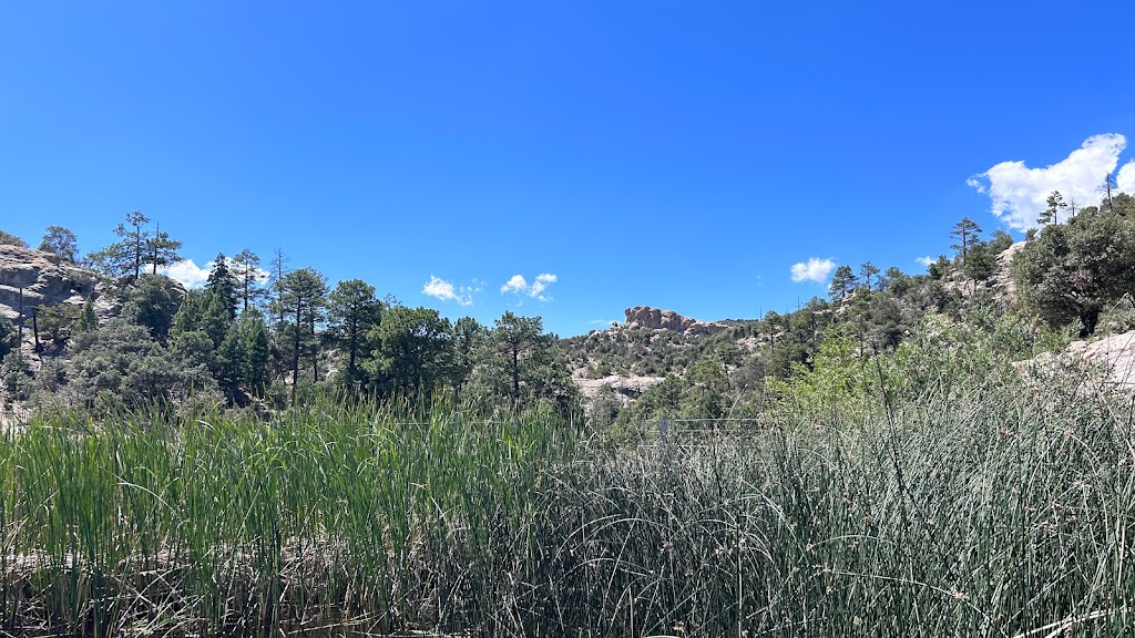 Rose Canyon Lake | Mt Lemmon, AZ 85619, USA | Phone: (520) 576-1477