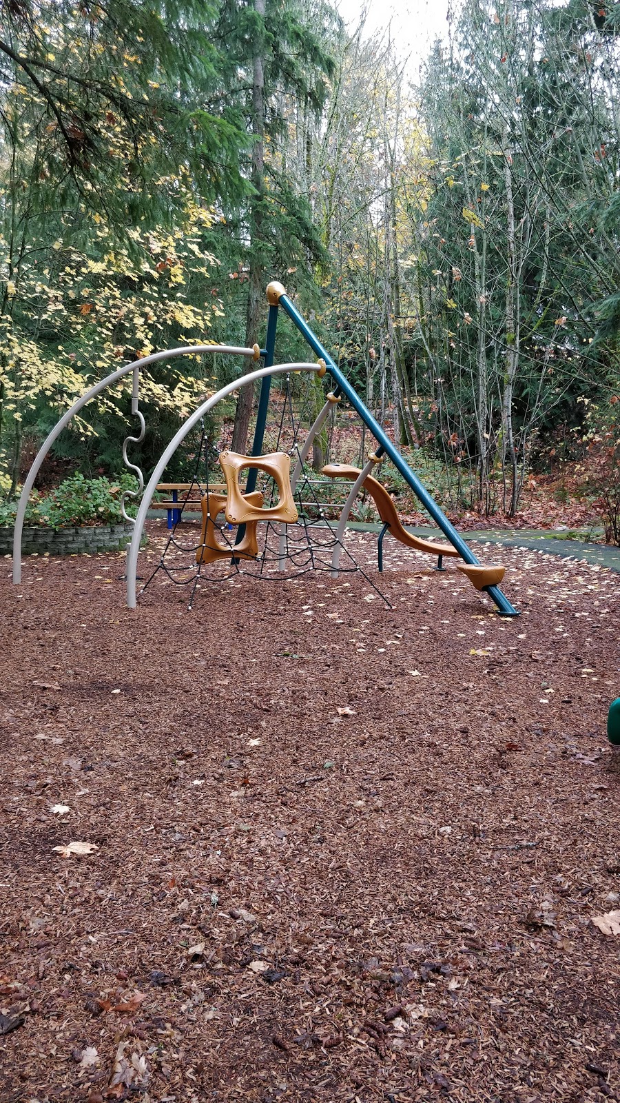 Collingwood Mini Park | 16030 SE 46th Way, Bellevue, WA 98006, USA | Phone: (425) 452-6885