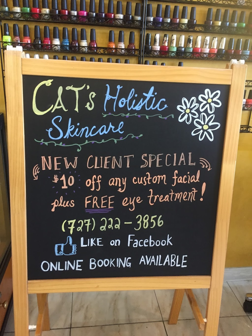 Cats Holistic Skincare | 10949 Causeway Blvd, Riverview, FL 33511, USA | Phone: (727) 222-3856