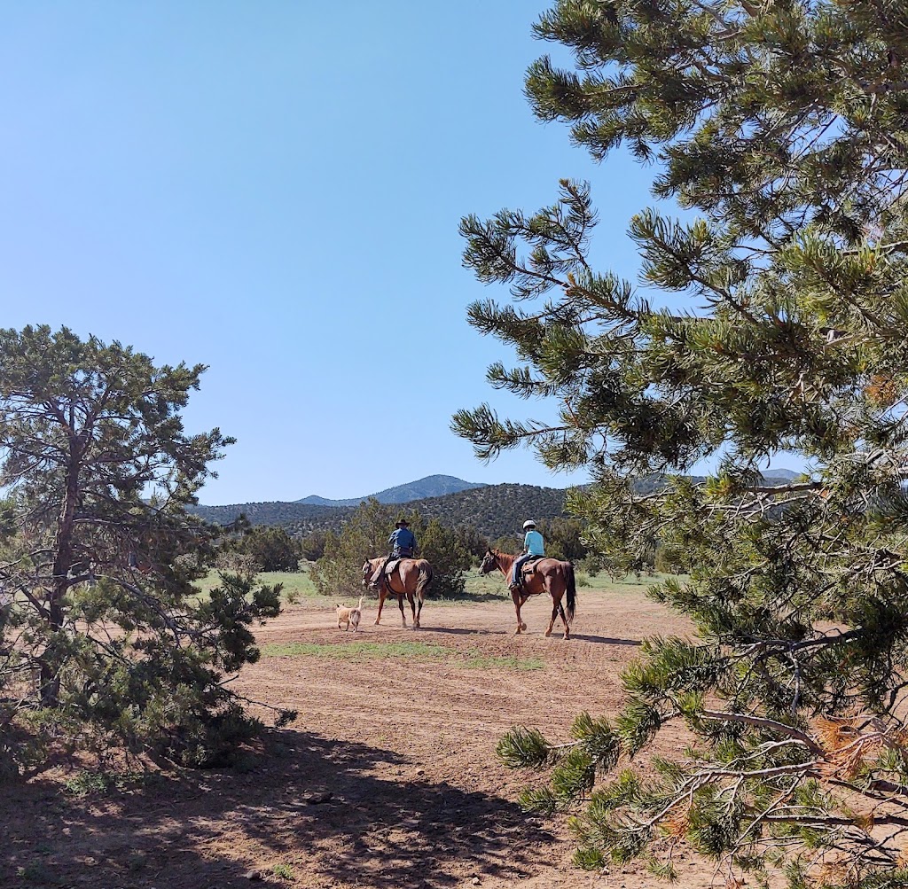 Turquoise Trail Pleasure Riding | 1511 NM-14, Golden, NM 87047 | Phone: (505) 280-1319