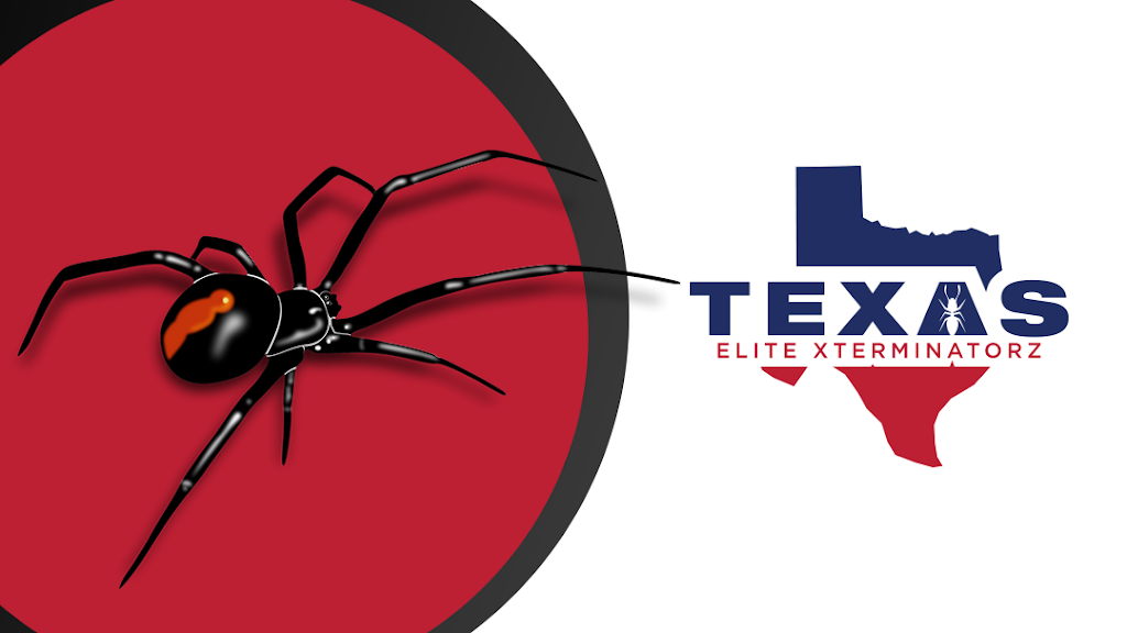 Texas Elite Xterminatorz | 2627 Powderhorn Dr, Little Elm, TX 75068, USA | Phone: (214) 258-3738