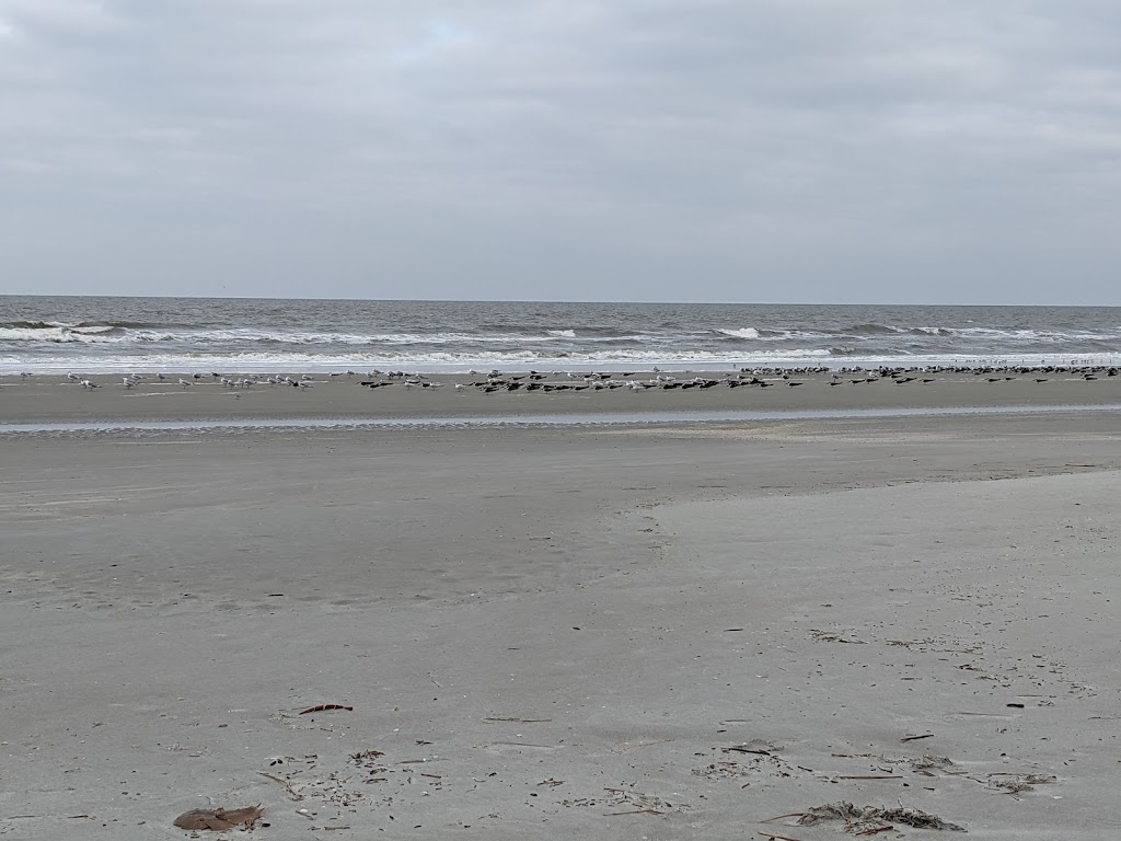 Sea Camp Ranger Station | Cumberland Island, St Marys, GA 31558, USA | Phone: (912) 882-4336