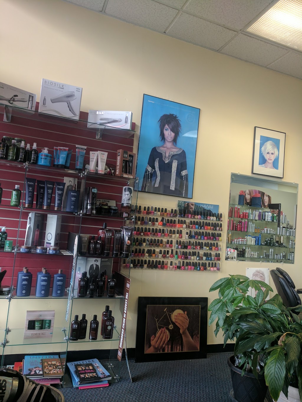 D D Styles | 2216 County Rd D West, St Paul, MN 55112, USA | Phone: (651) 633-1090