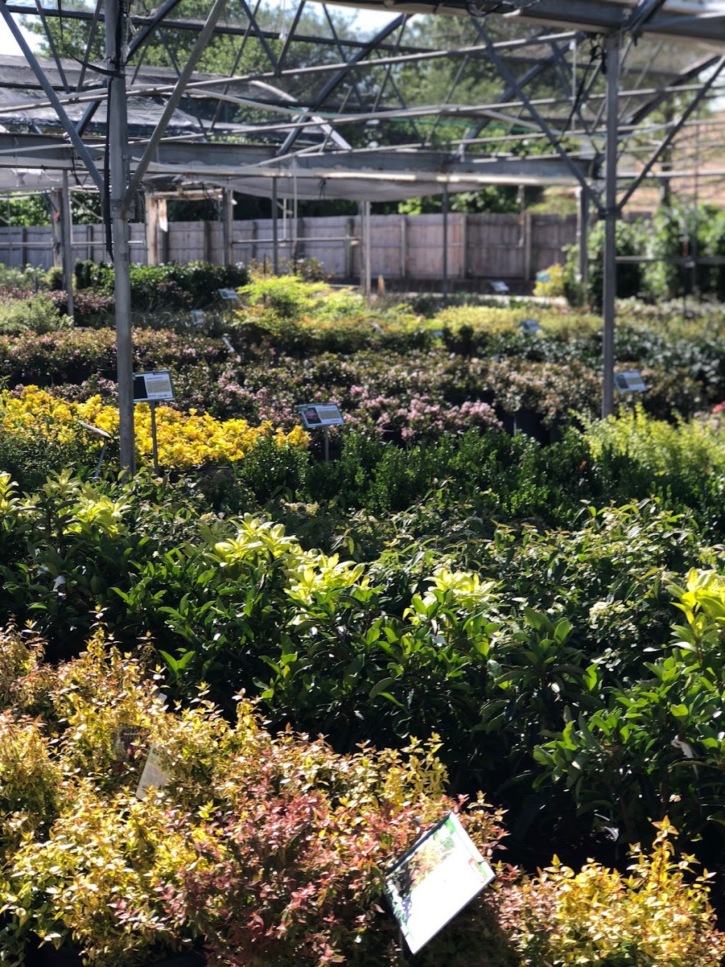 Premier Nursery | 1501 Airport Fwy, Euless, TX 76040, USA | Phone: (817) 685-0932