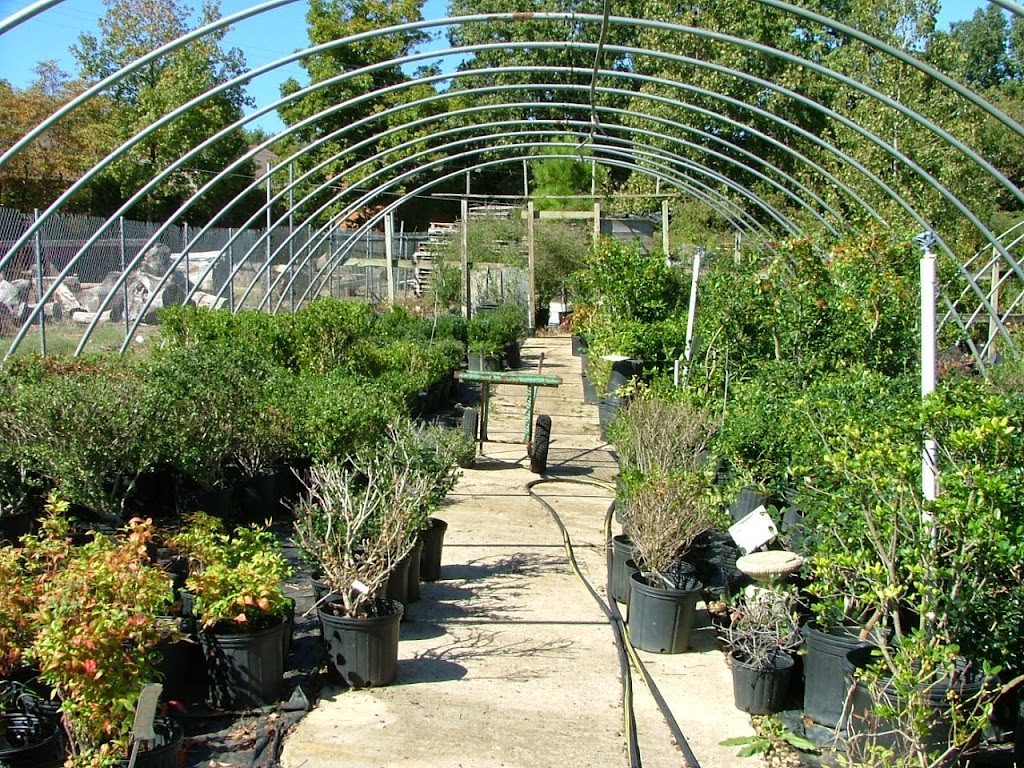 Giarolis Nursery & Landscaping | 6000 Summer Ave, Memphis, TN 38134, USA | Phone: (901) 382-5402