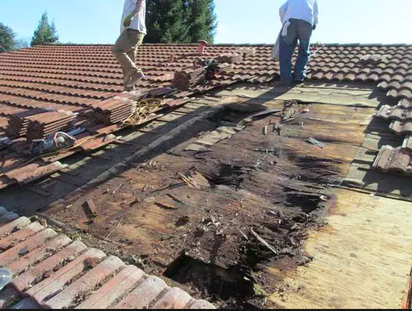 The Last Detail Roofing | Armstrong Ave, San Francisco, CA 94124, USA | Phone: (415) 637-3375