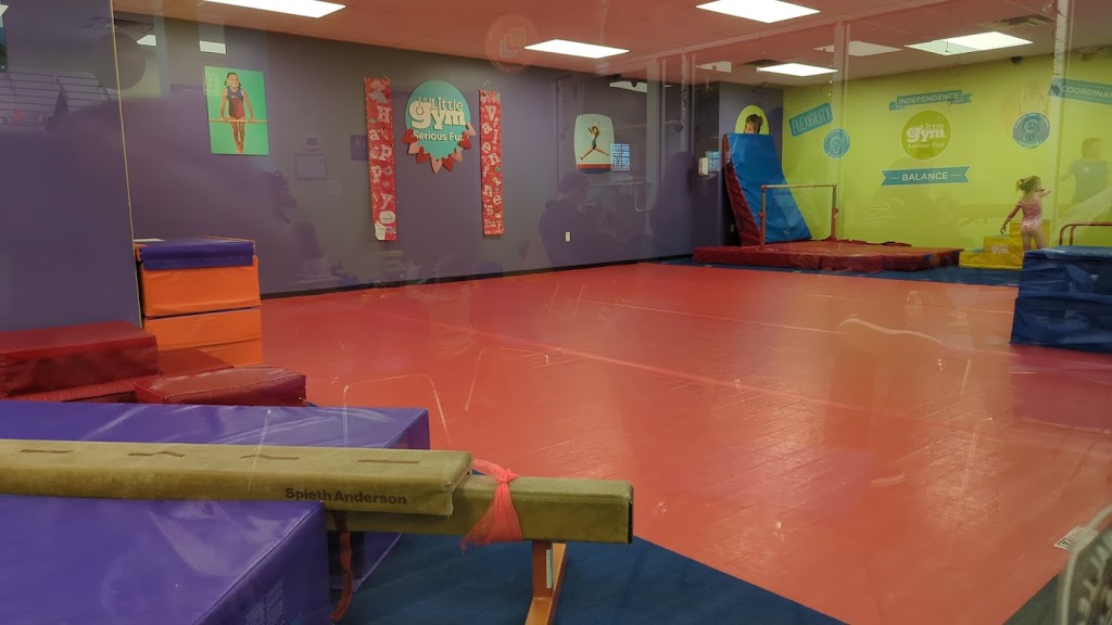 The Little Gym of Avon | 37450 Colorado Ave, Avon, OH 44011, USA | Phone: (440) 934-0494