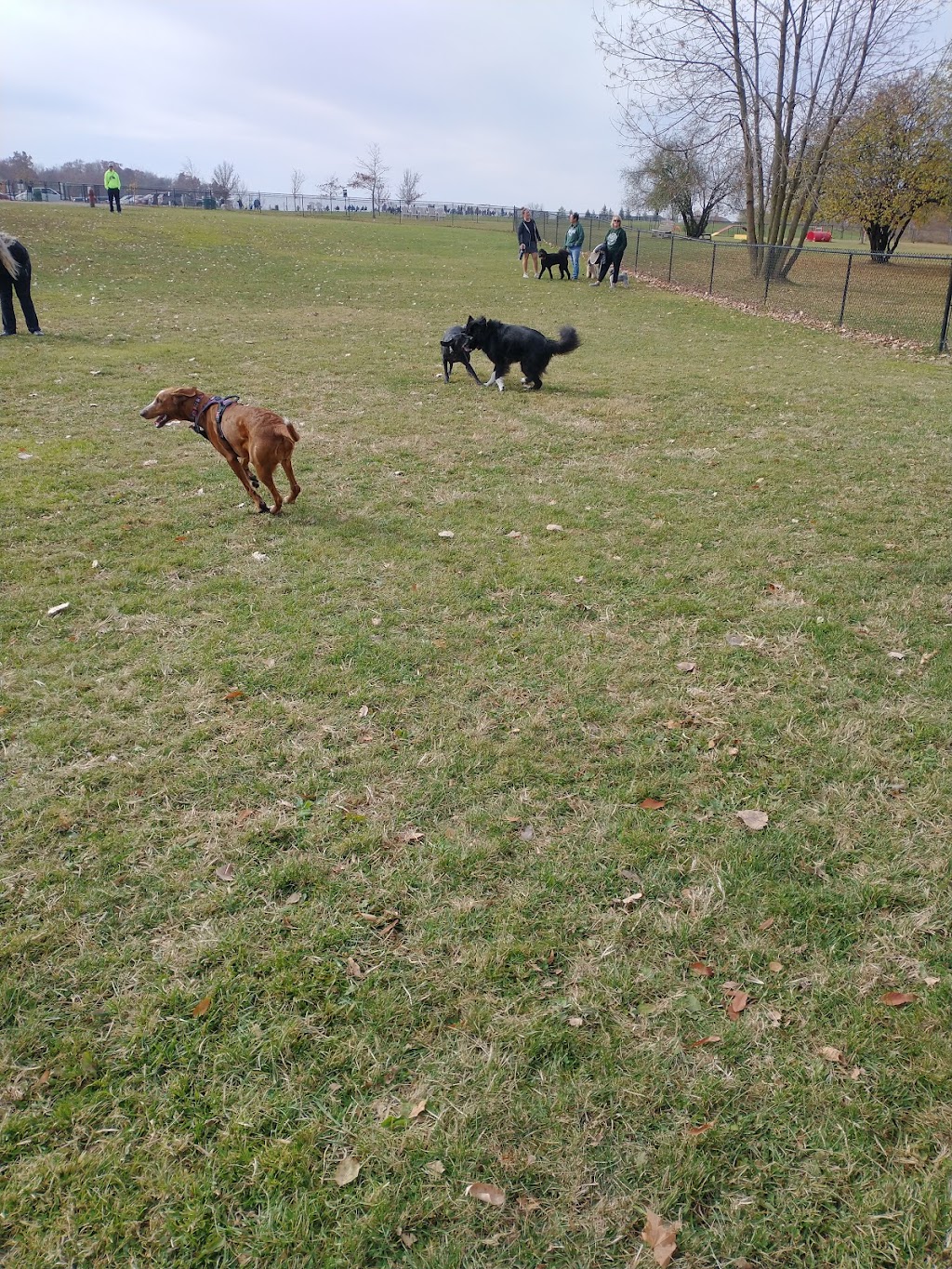 Northville Dog Park | 15801 Beck Rd, Northville, MI 48167, USA | Phone: (248) 349-0203