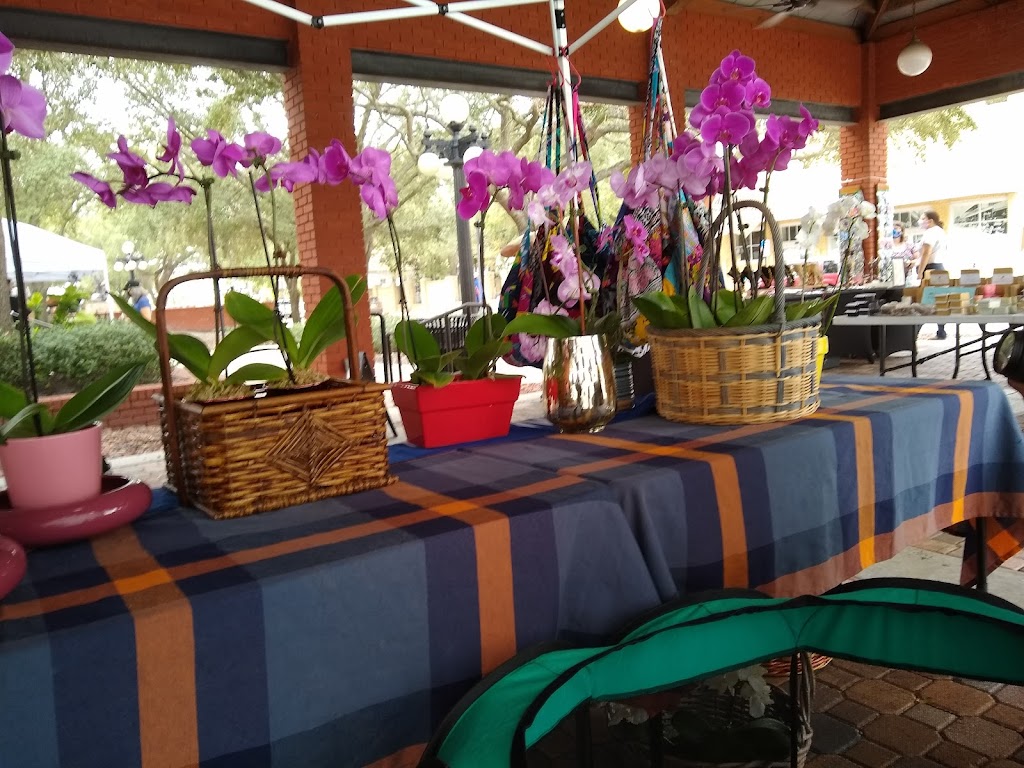 Beef O Bradys | 7833 Gall Blvd, Zephyrhills, FL 33541, USA | Phone: (813) 780-7717