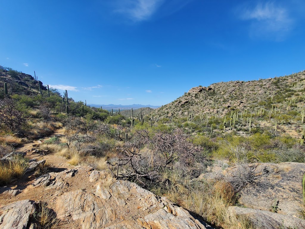 Upper Javelina Trailhead | Marana, AZ 85658, USA | Phone: (520) 572-3000