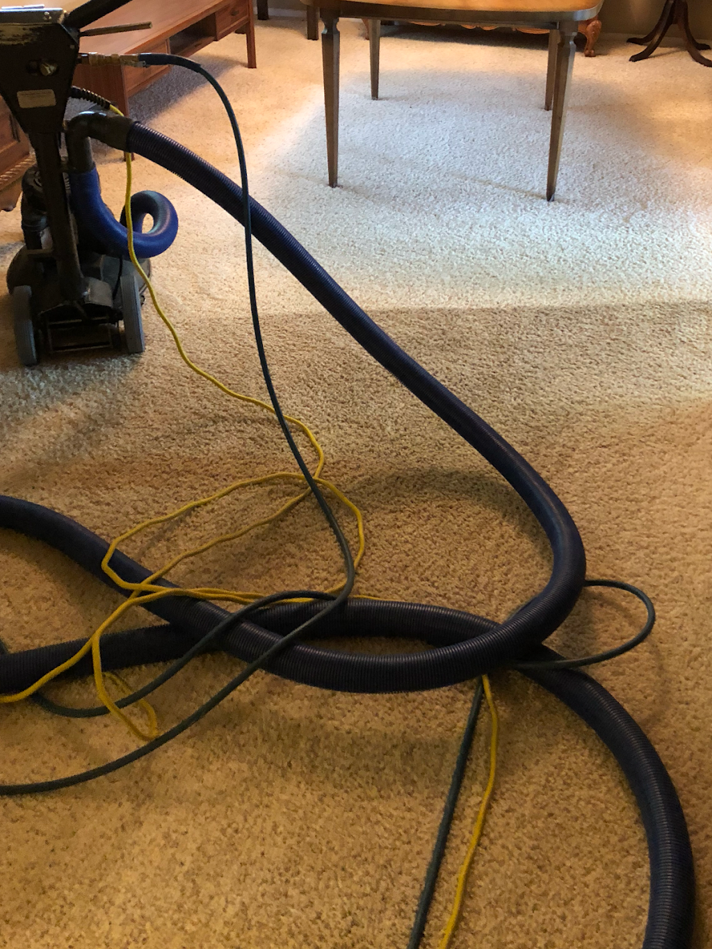 Above All Carpet Cleaning | 3748 Frakes Way, Yuba City, CA 95993 | Phone: (530) 671-1616