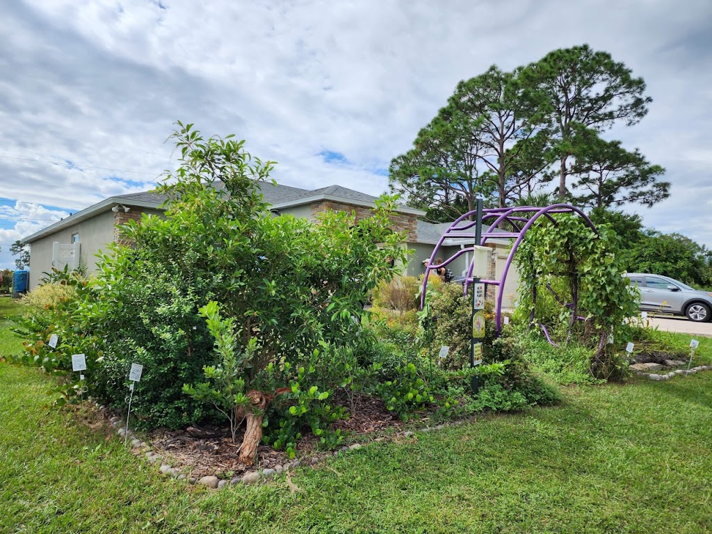 Sakura Dreams Butterfly and Wildlife Habitat | 682 Firestone St NE, Palm Bay, FL 32907, USA | Phone: (760) 237-8180