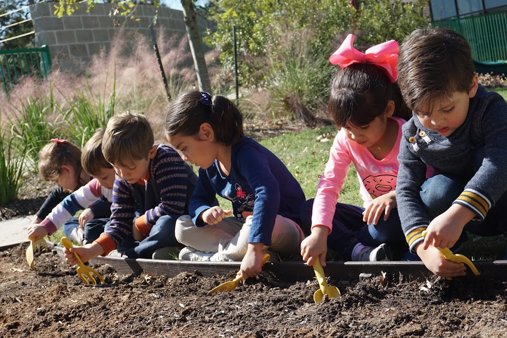 Magic Oak Preschool | 24527 Gosling Rd Ste G, Spring, TX 77389, USA | Phone: (281) 826-3636