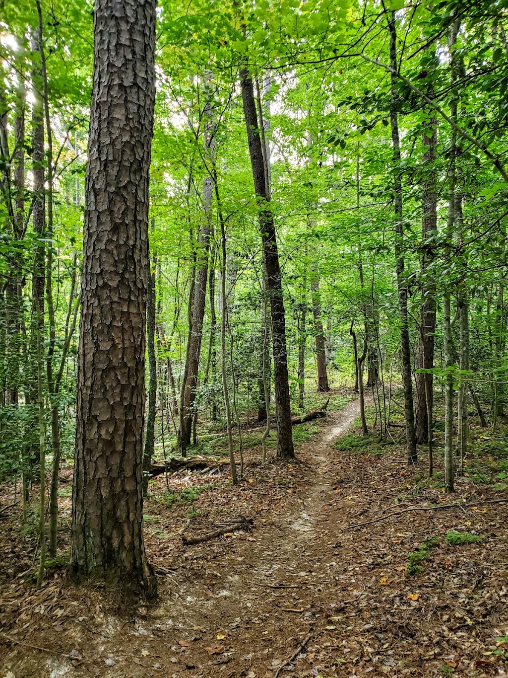 Moores Springs Trails | State Rd 1001, Danbury, NC 27016, USA | Phone: (336) 593-8480