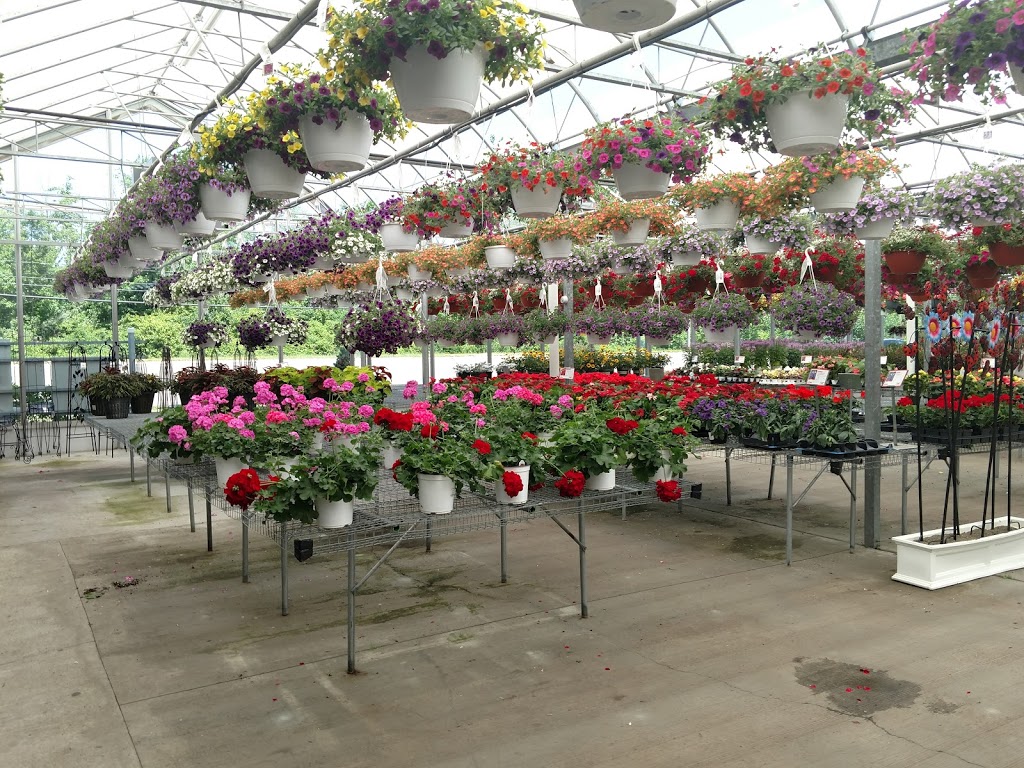 Gullos Garden Center | 4767 Southwestern Blvd, Hamburg, NY 14075, USA | Phone: (716) 646-6111