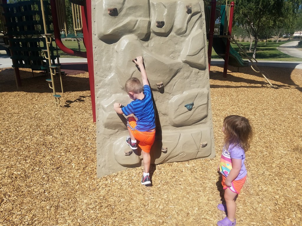 Tibshraeny Family Park | 270 N Cottonwood St, Chandler, AZ 85225, USA | Phone: (480) 782-2727