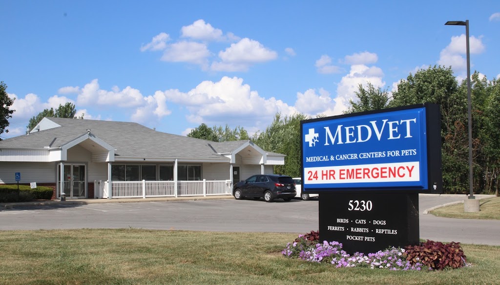 MedVet Hilliard | 5230 Renner Rd, Columbus, OH 43228, USA | Phone: (614) 870-0480