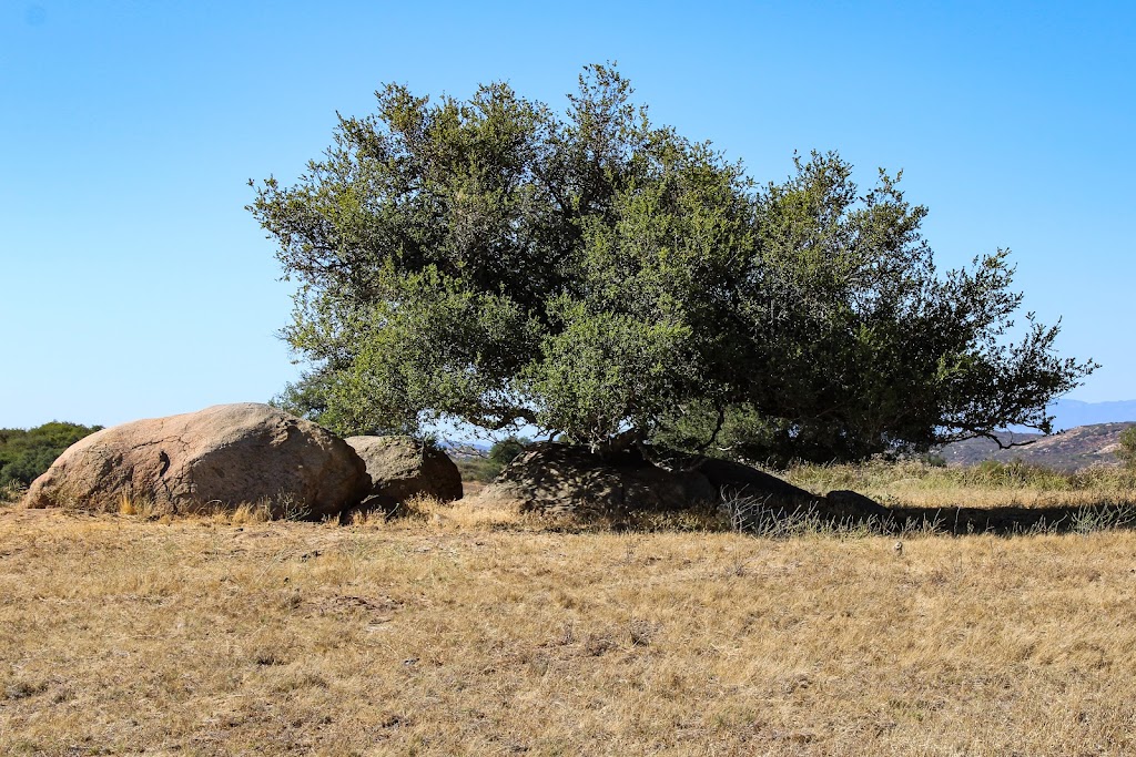 Ramona Grasslands Preserve | Highland Valley Rd, Ramona, CA 92065, USA | Phone: (760) 788-3326