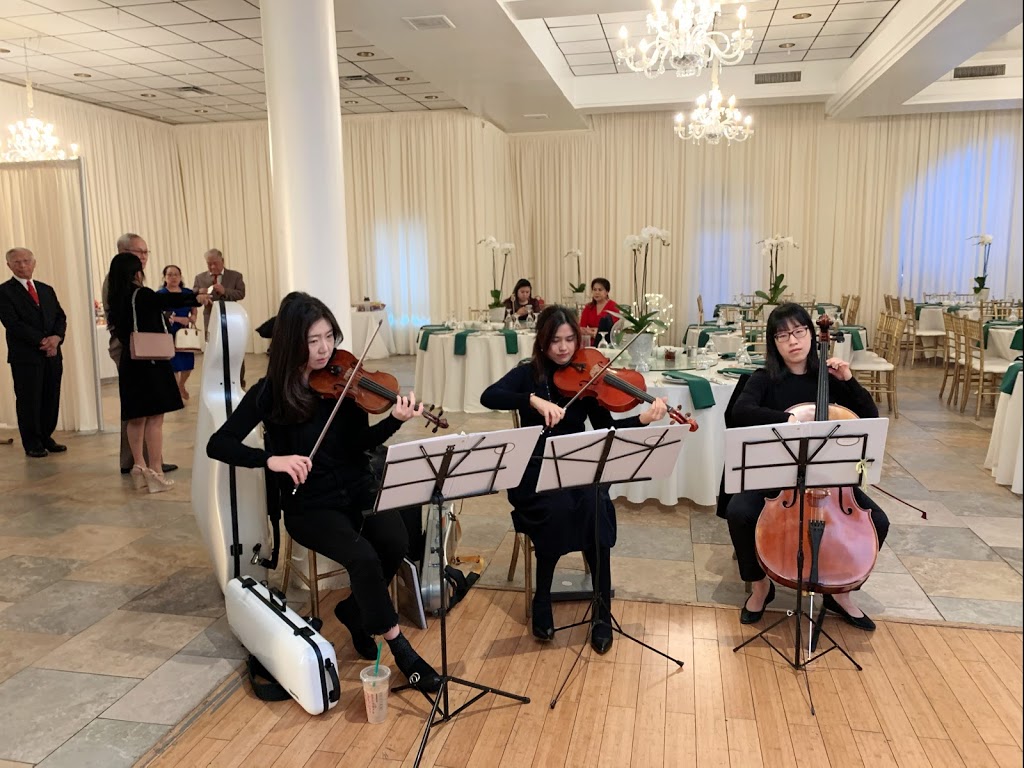 Dallas Asian Strings | 5701 Fairway Ct, McKinney, TX 75070, USA | Phone: (940) 312-2663