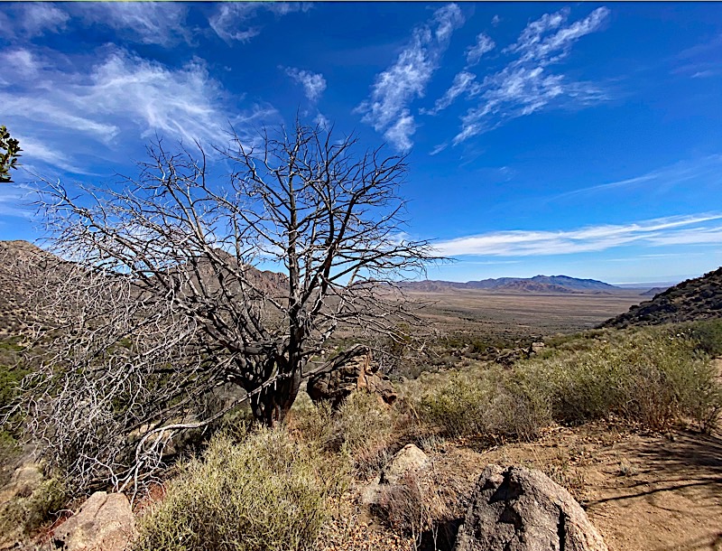 Aguirre Spring Campground | Aguirre Springs Rd, Las Cruces, NM 88011, USA | Phone: (575) 525-4300