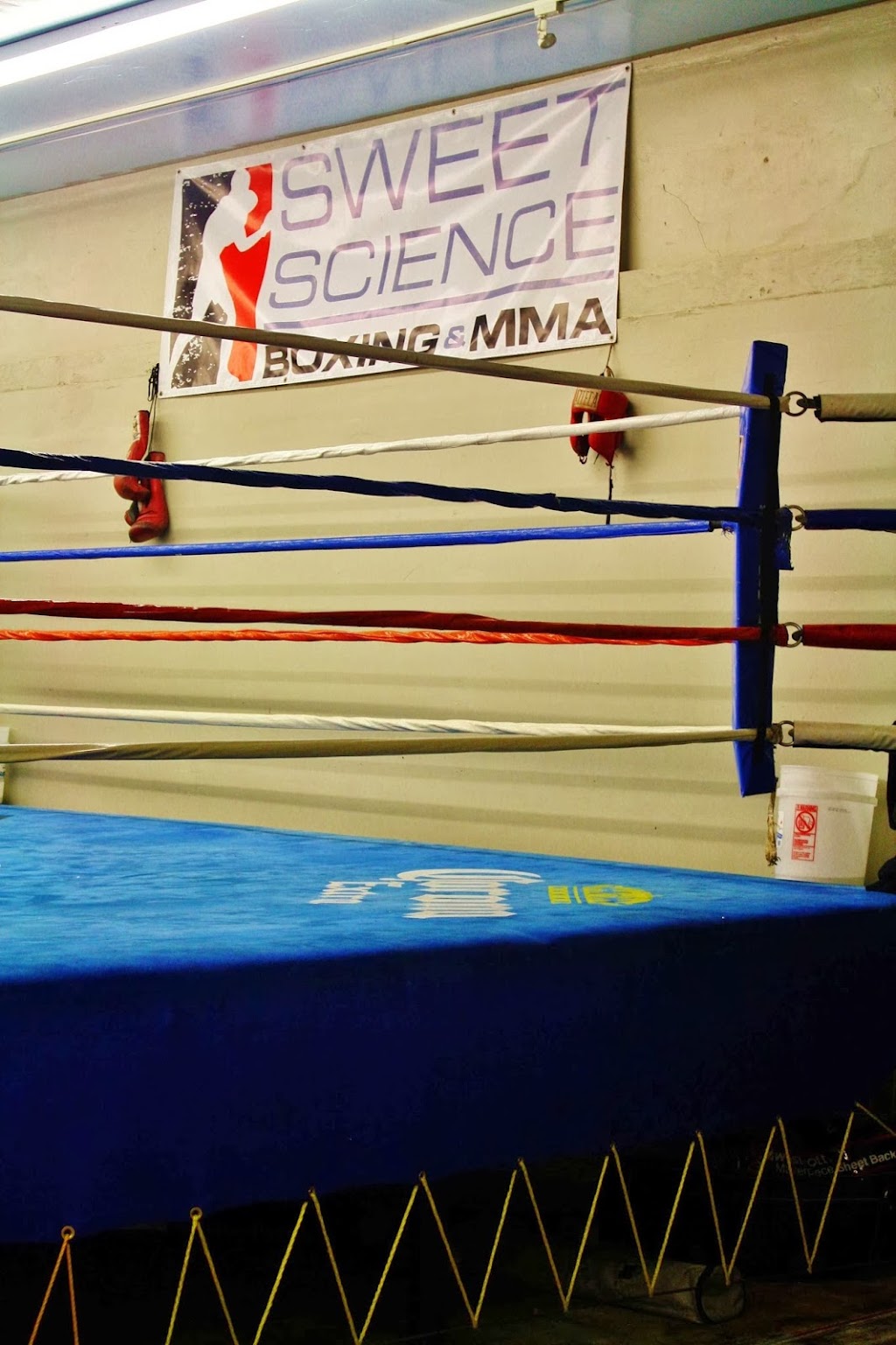 Sweet Science Boxing & MMA | 12935 Hawthorne Blvd, Hawthorne, CA 90250, USA | Phone: (310) 606-9171