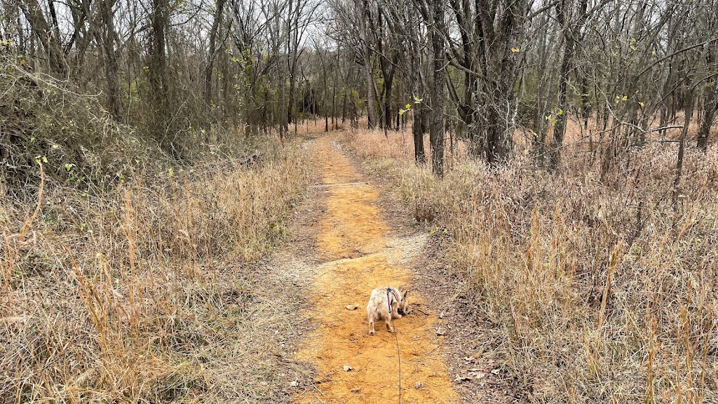 Boo Boos Buddies Dog Park | 3901 N White Chapel Blvd, Southlake, TX 76092, USA | Phone: (817) 748-8019