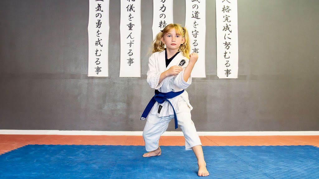 Success Karate School | 723 W Columbus Dr suite b, Tampa, FL 33602, USA | Phone: (813) 816-8925