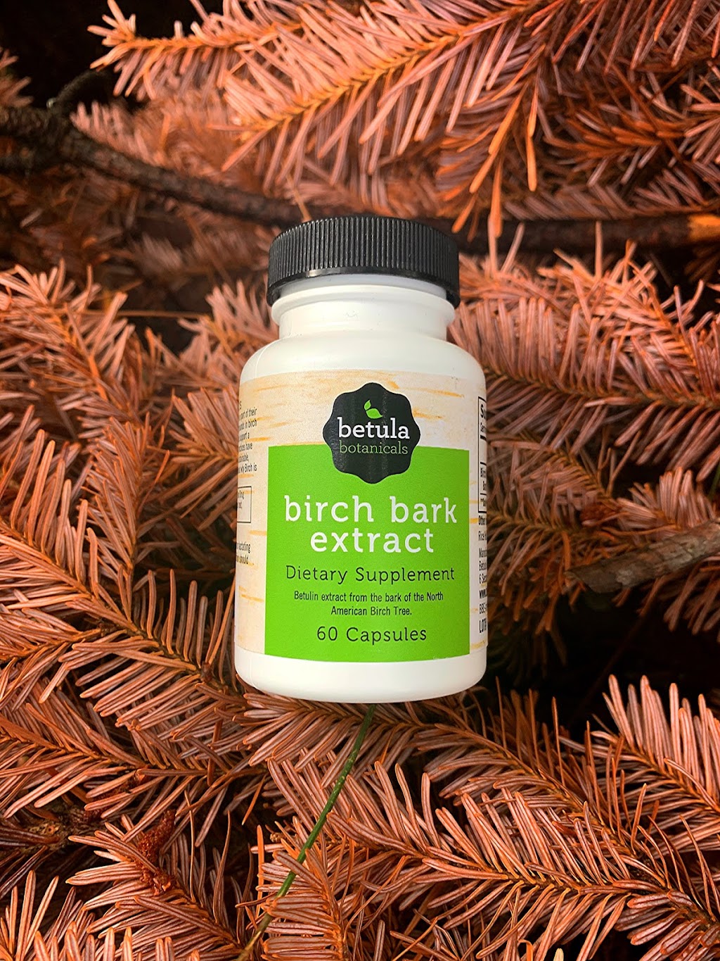 Betula Botanicals - Natural Birch Supplements | 4149 Main St, St Bonifacius, MN 55375, USA | Phone: (877) 336-9229