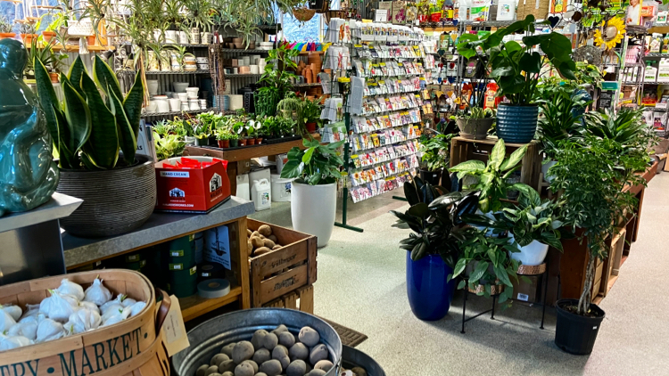 Villager Nursery, Inc | exit 186, 10678 Donner Pass Rd I-80, Truckee, CA 96161, USA | Phone: (530) 587-0771
