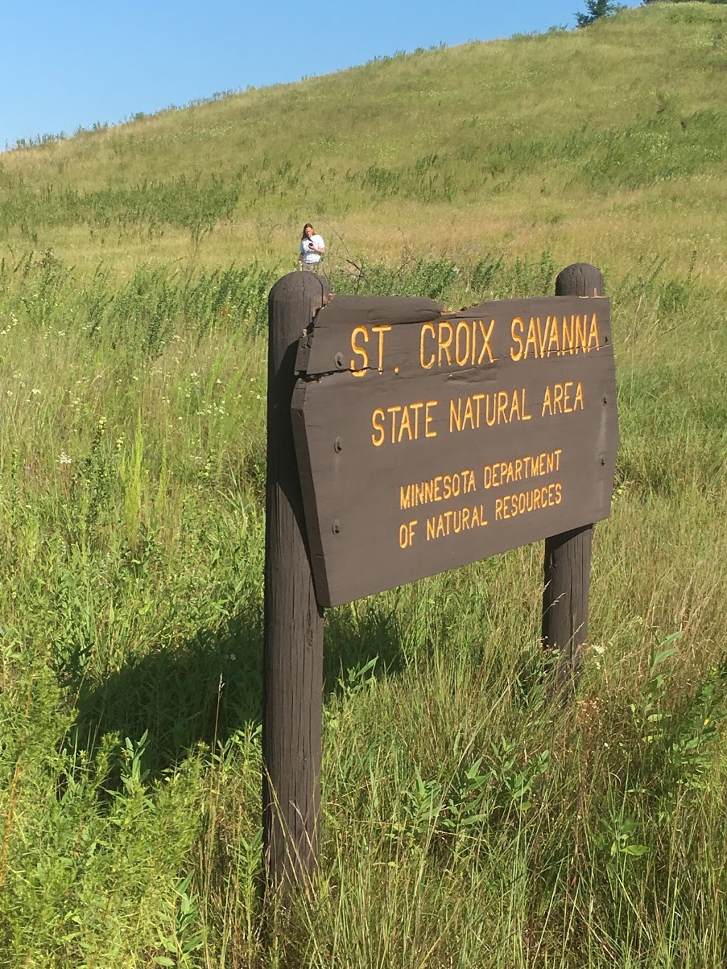 St. Croix Savanna Scientific and Natural Area (SNA) | Osprey Blvd, Bayport, MN 55003, USA | Phone: (651) 259-5800