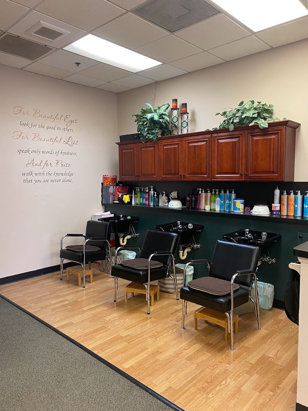 Mane Street Salon | N 64 W 22630 Main St, Sussex, WI 53089, USA | Phone: (262) 246-8485