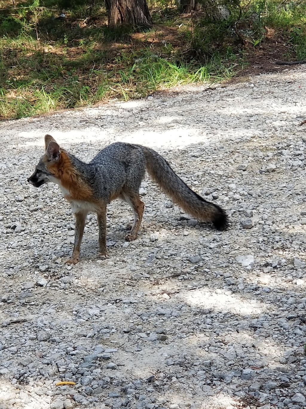 Priddy Meadow RV Park | 1155 County Rd 1492, Wimberley, TX 78676, USA | Phone: (512) 847-6811