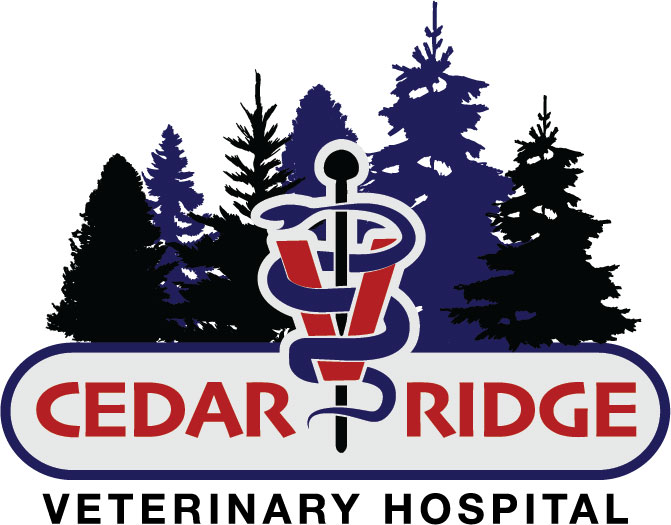 Cedar Ridge Veterinary Hospital | 104 US-177, Carney, OK 74832, USA | Phone: (405) 865-2784