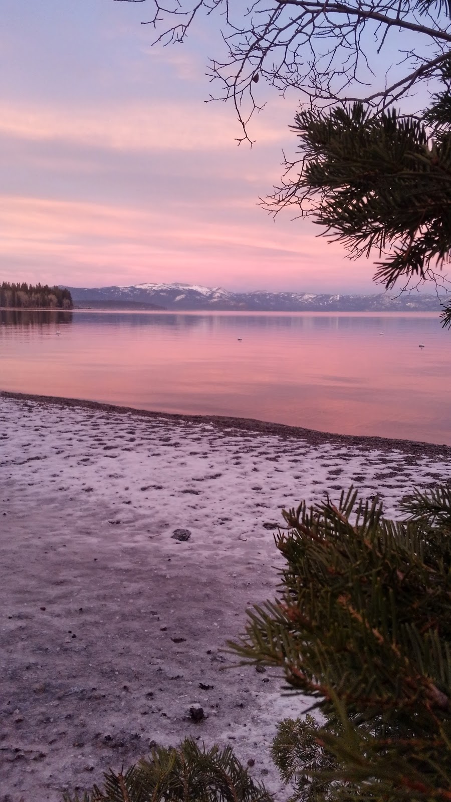 Alpine Meadows Realty | 2411 W Lake Blvd, Tahoe City, CA 96145, USA | Phone: (530) 583-3550