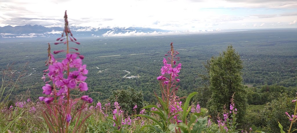 Government Peak Recreation Area | N Mountain Trails Dr, Palmer, AK 99645, USA | Phone: (907) 746-8757