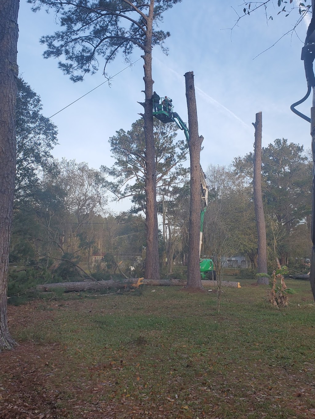 MTI tree services | 27092 Georgia St, Hilliard, FL 32046, USA | Phone: (904) 923-1048